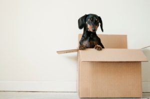 5 Tricks to Make Moving into Your Athens Ohio Apartment Easier